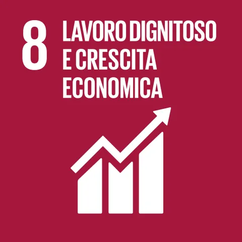 Icona obiettivo di sviluppo sostenibile 8
